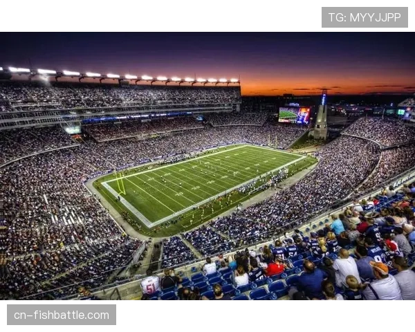 专业足球场建设报告显示，2026年将有更多球场配备先进战术分析系统。